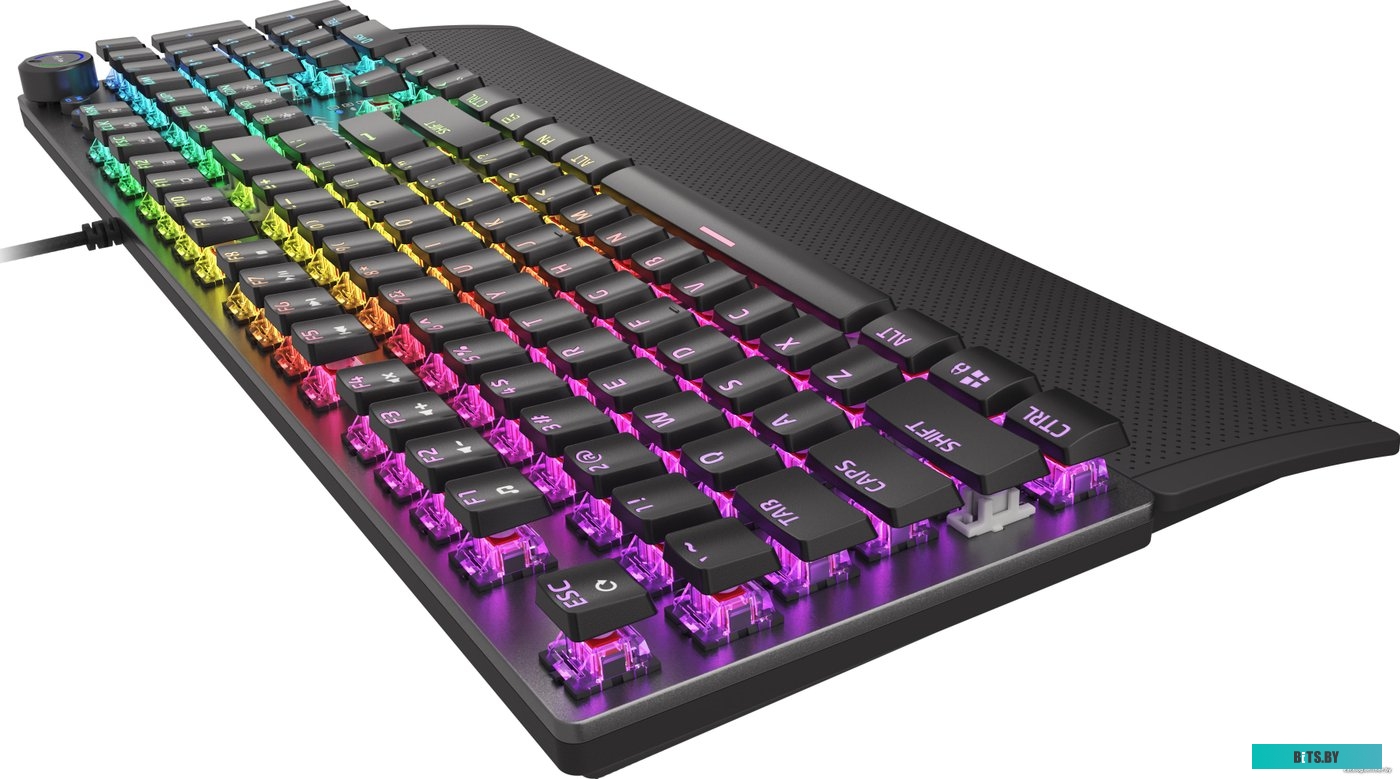 Клавиатура Genesis Thor 400 RGB