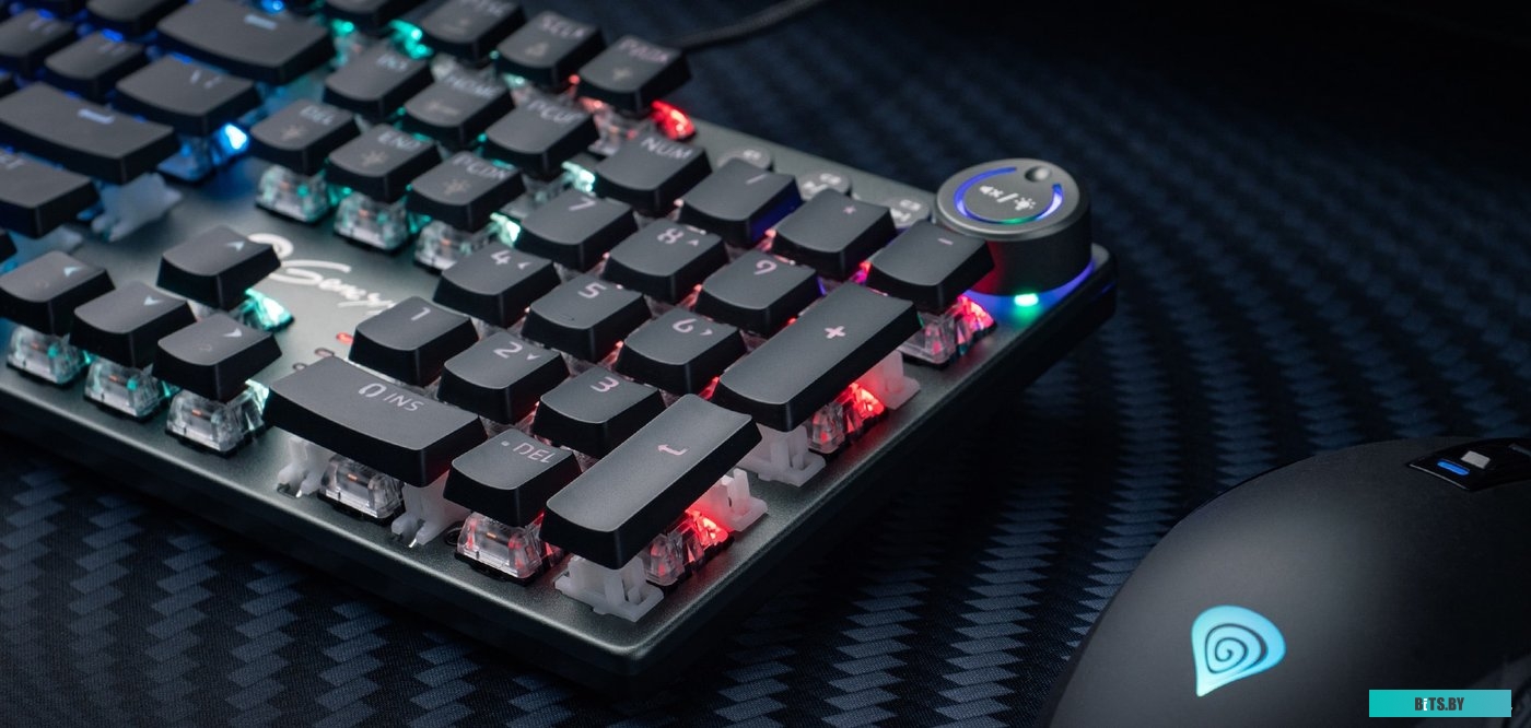 Клавиатура Genesis Thor 400 RGB