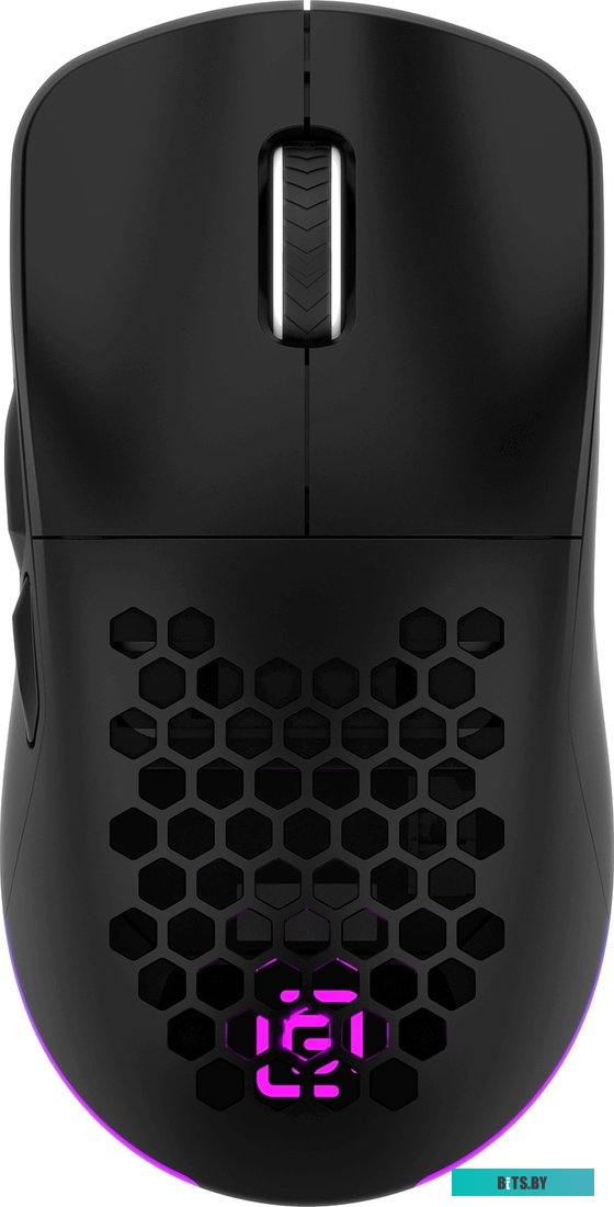 Игровая мышь Оклик 900GMW (черный)