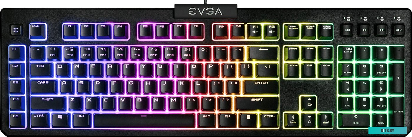 Клавиатура EVGA Z12 834-W0-12RU-KR