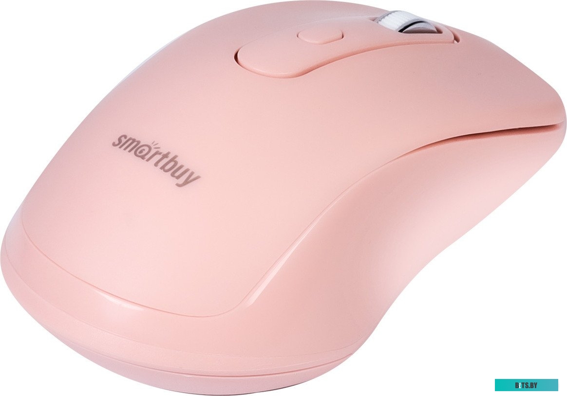 SmartBuy SBM-282AG-N