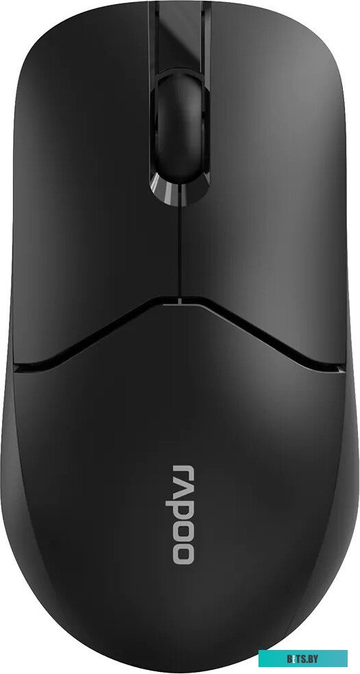 Мышь Rapoo 1510 (черный)