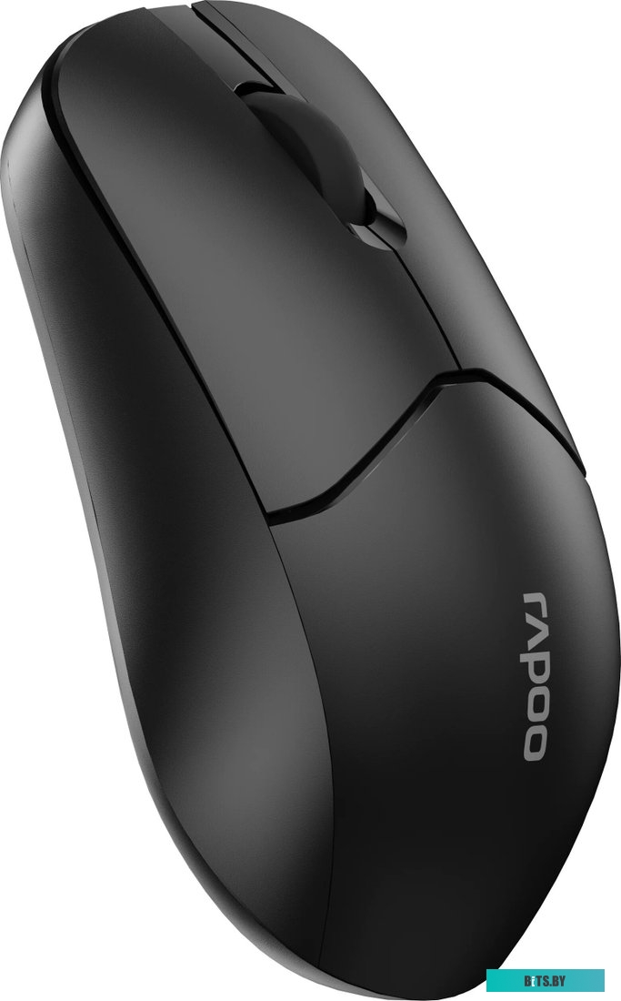 Мышь Rapoo 1510 (черный)