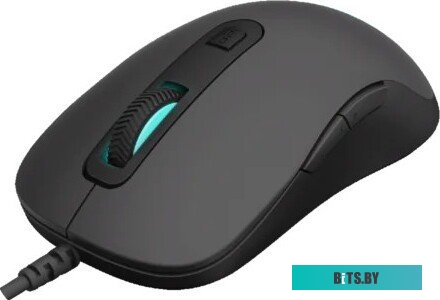 Rapoo V16RGB (черный)