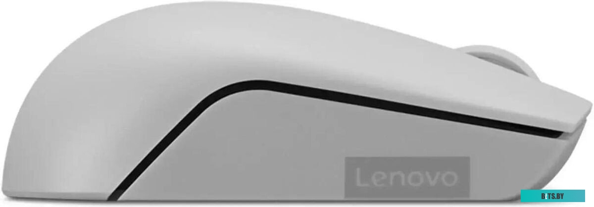Мышь Lenovo 300 Wireless Compact серый оптическая 1000dpi беспров. (GY51L15678) GY51L15678