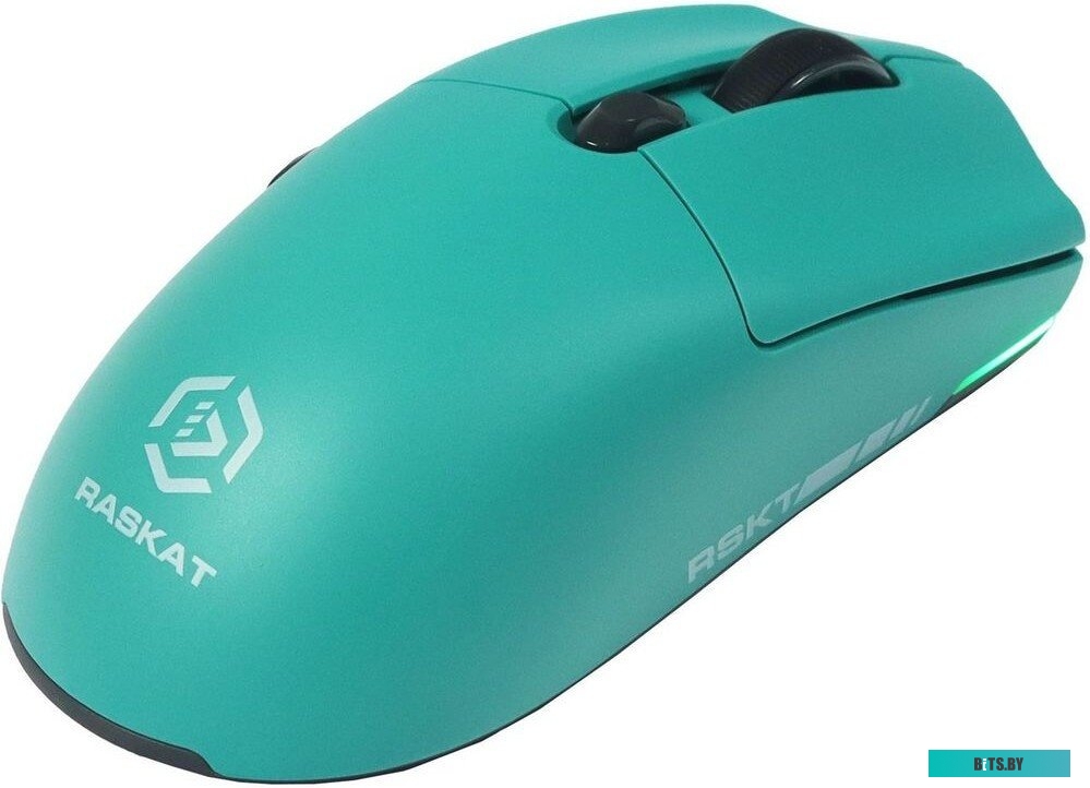 Мышь Raskat MG006TR