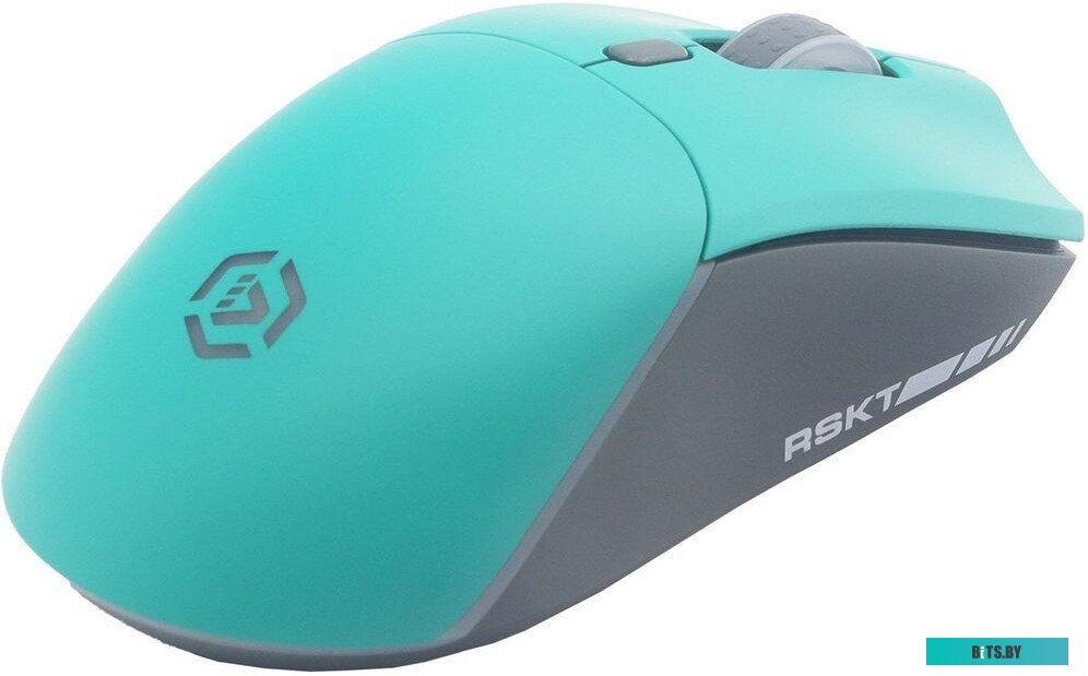 Мышь Raskat MG009WR