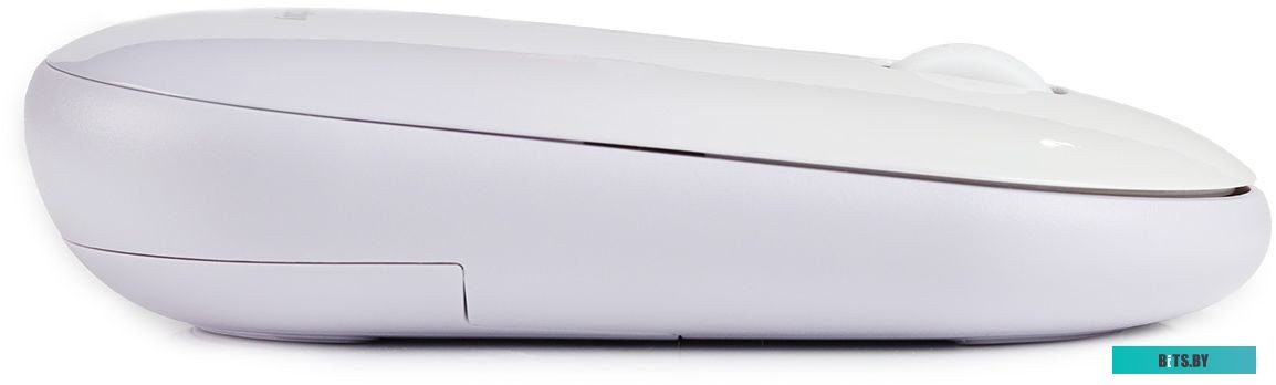 SmartBuy SBM-266AG-W