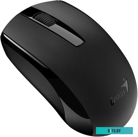 Мышь Genius ECO-8100 (черный) <31030004400>