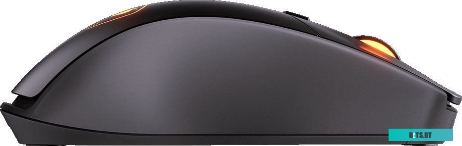 Игровая мышь Cougar Surpassion RX