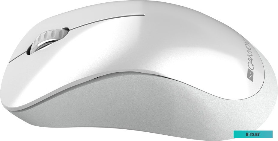 Мышь Canyon CNE-CMSW11PW
