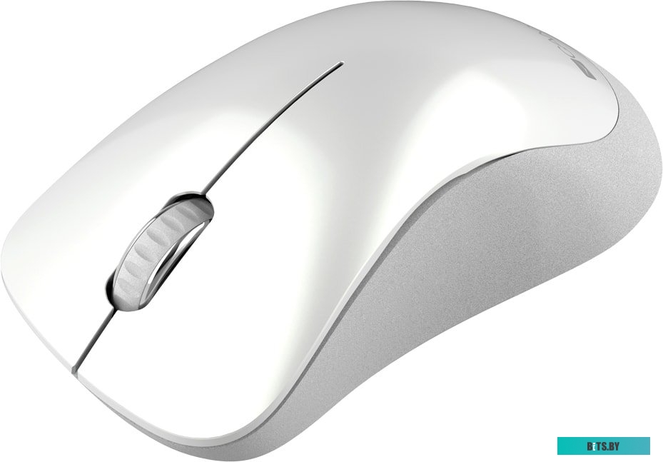 Мышь Canyon CNE-CMSW11PW