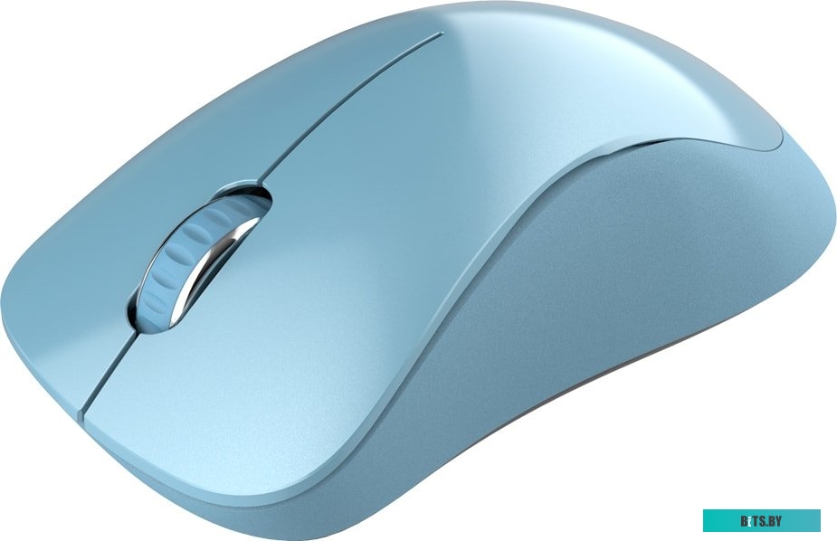 Мышь Canyon CNE-CMSW11BL