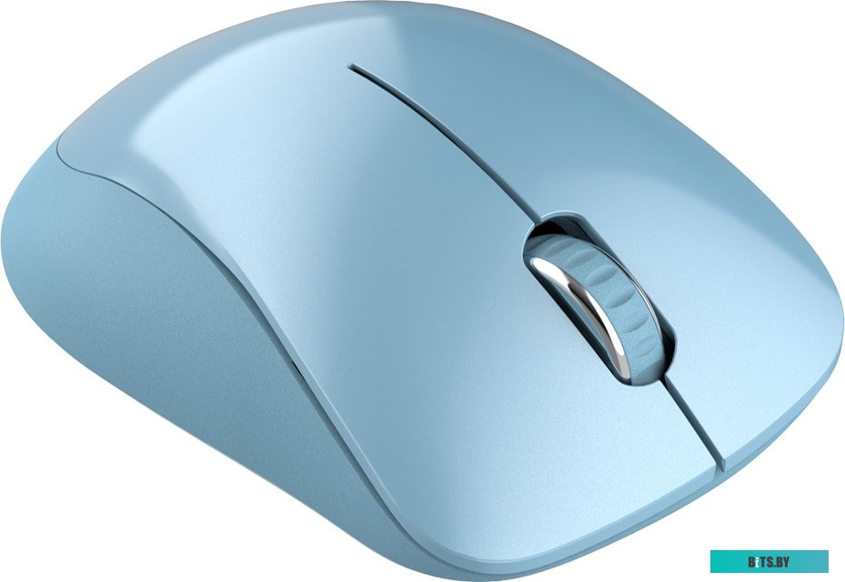 Мышь Canyon CNE-CMSW11BL