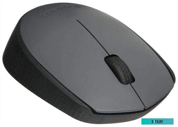 Мышь Logitech M171 (графит)