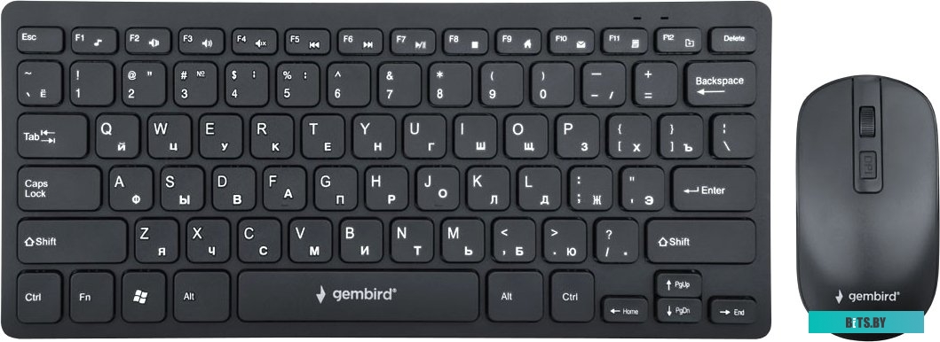 Комплект (клавиатура + мышь) Gembird KBS-9100