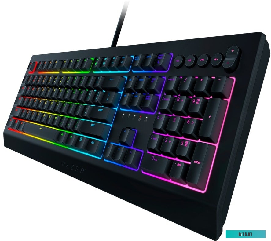 Кейпад Razer Cynosa v2 <RZ03-03400700-R3R1>