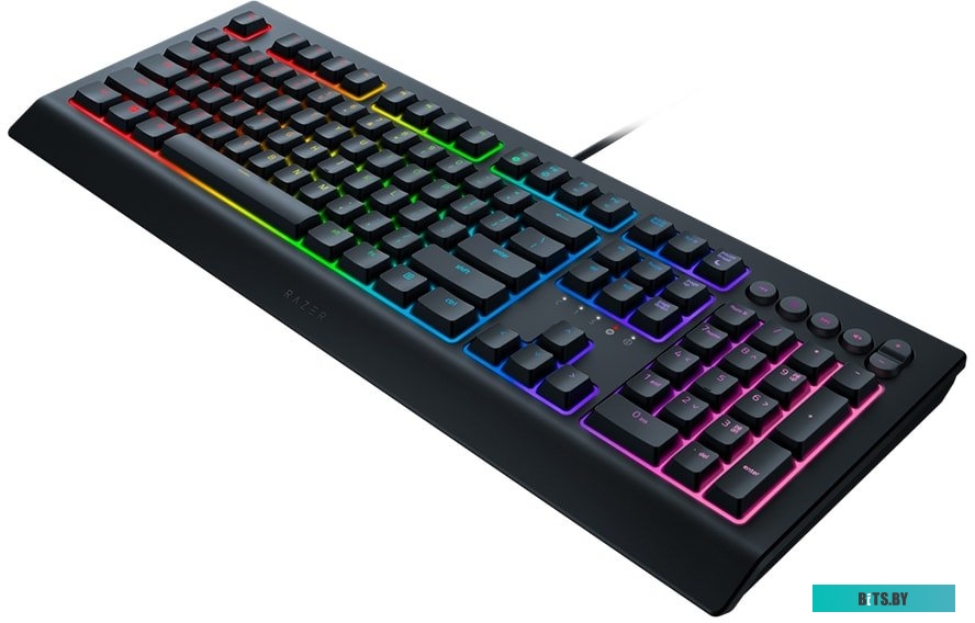 Кейпад Razer Cynosa v2 <RZ03-03400700-R3R1>