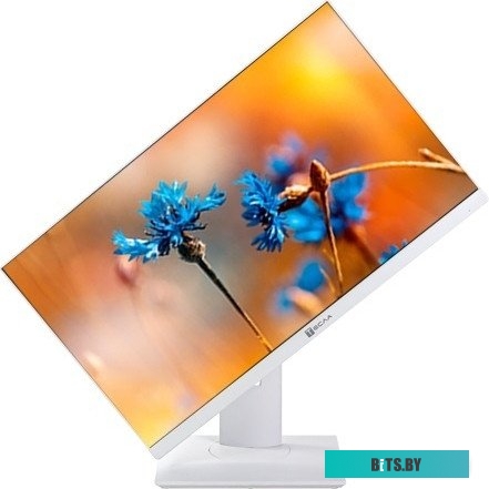 Моноблок ТЕСЛА P24WP 2416500