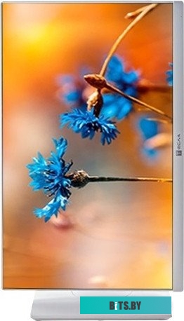 Моноблок ТЕСЛА P24WP 2416500