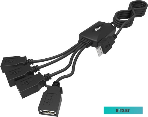 Концентратор USB (Хаб) Ritmix CR-2405 <CR-2405 Black>