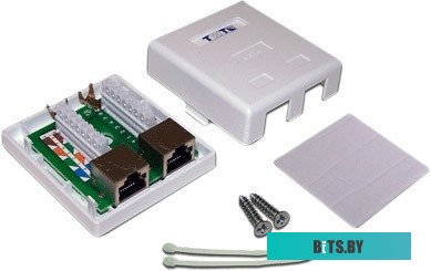 Настенная розетка TWT SM2-4545/S6-WH