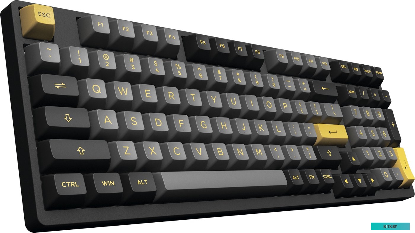 Akko 3098N Black & Gold (TTC Demon Switch)
