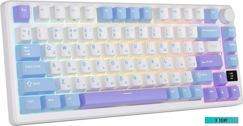 Royal Kludge RK-M75 RGB (Taro Milk, RK Silver)