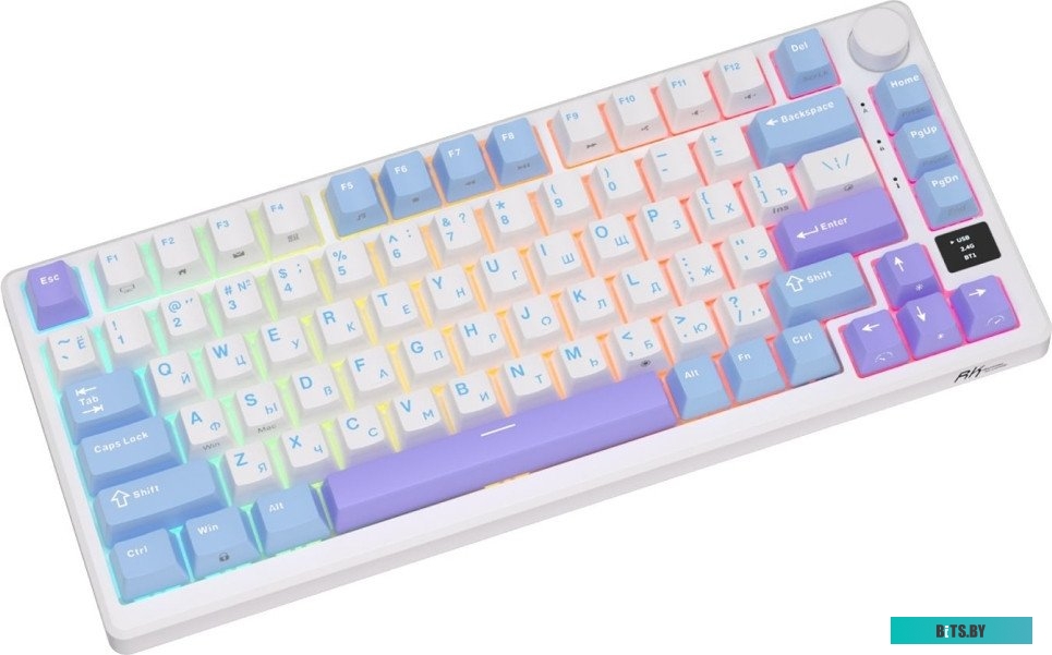Royal Kludge RK-M75 RGB (Taro Milk, RK Silver)
