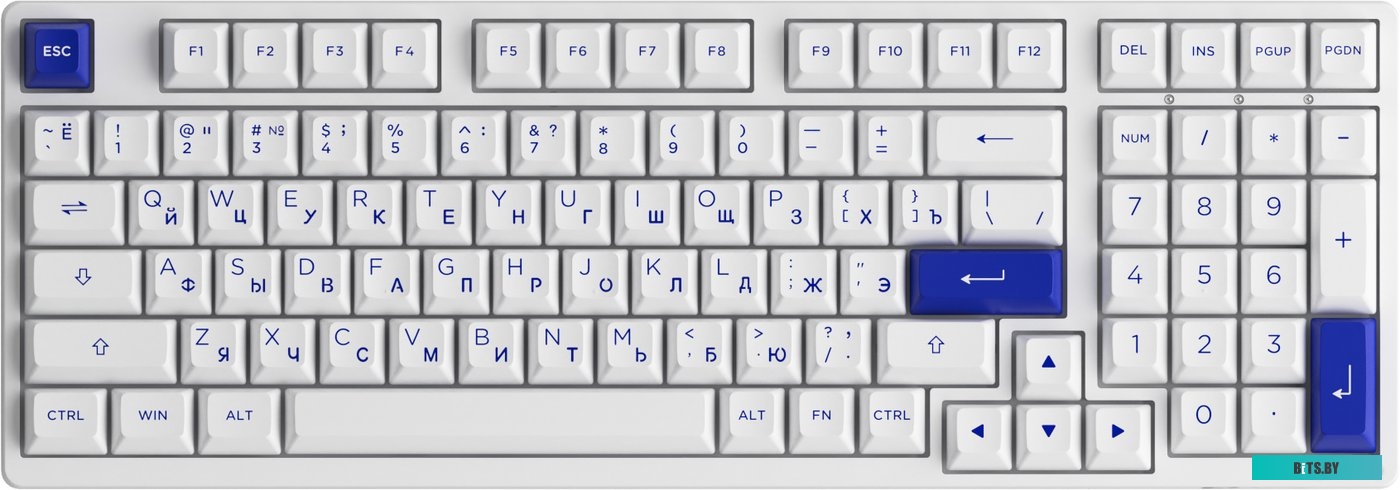Akko 3098N Blue & White (TTC Honey)