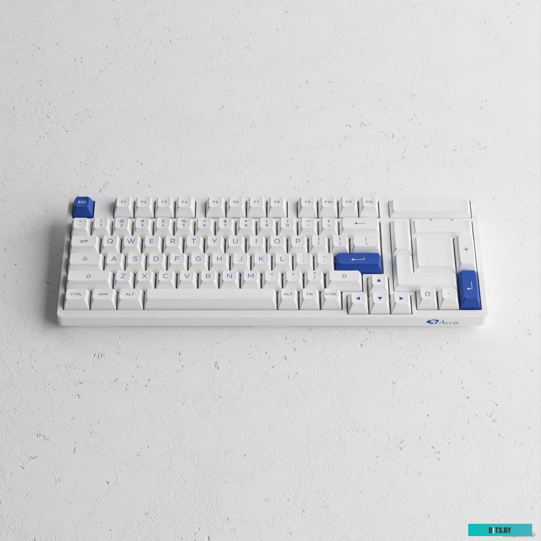 Akko 3098N Blue & White (TTC Honey)