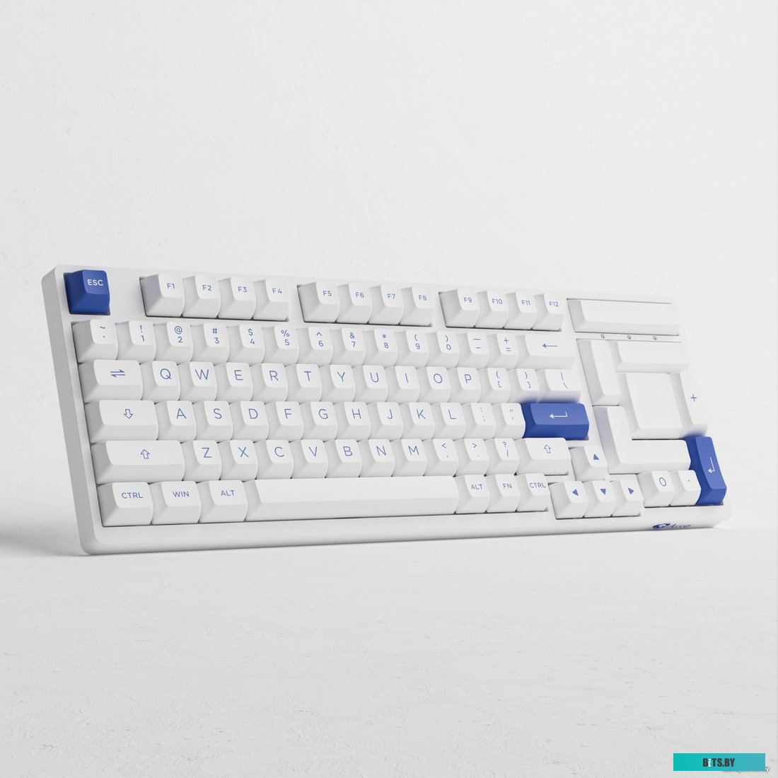 Akko 3098N Blue & White (TTC Honey)