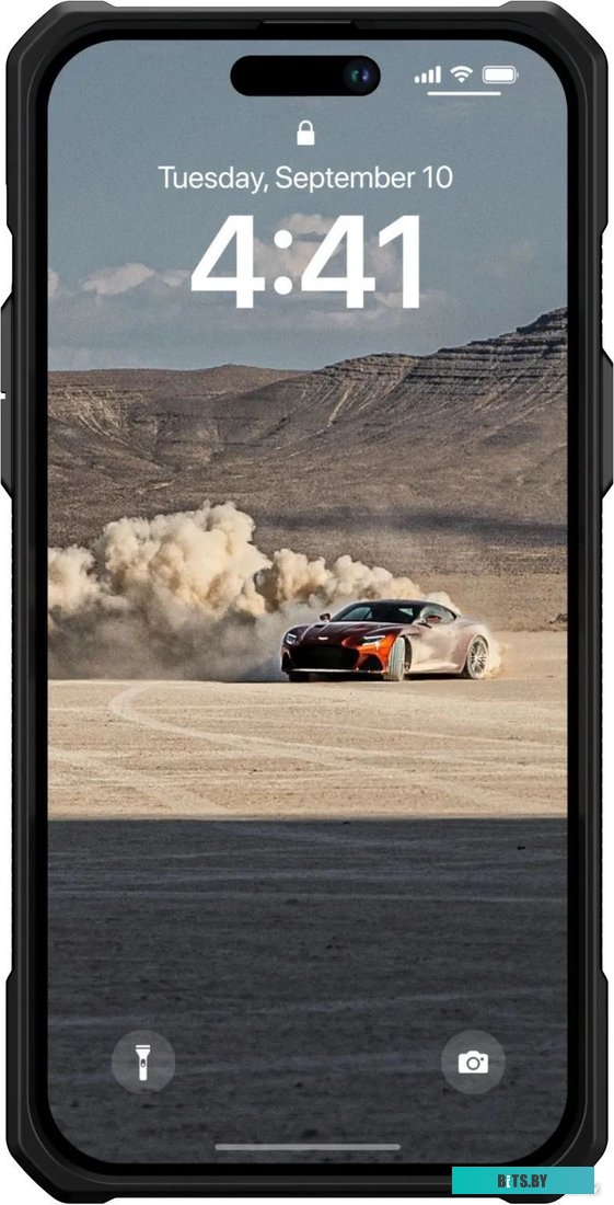 Чехол для iPhone UAG Monarch Mallard 114034115555
