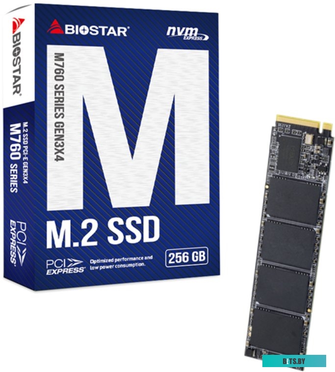 SSD Biostar M760 256GB