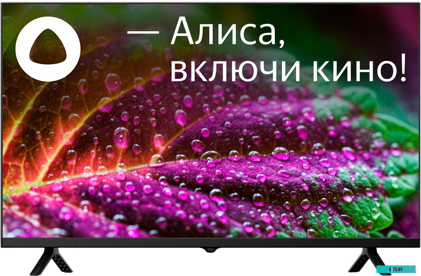 Телевизор StarWind SW-LED32SG305