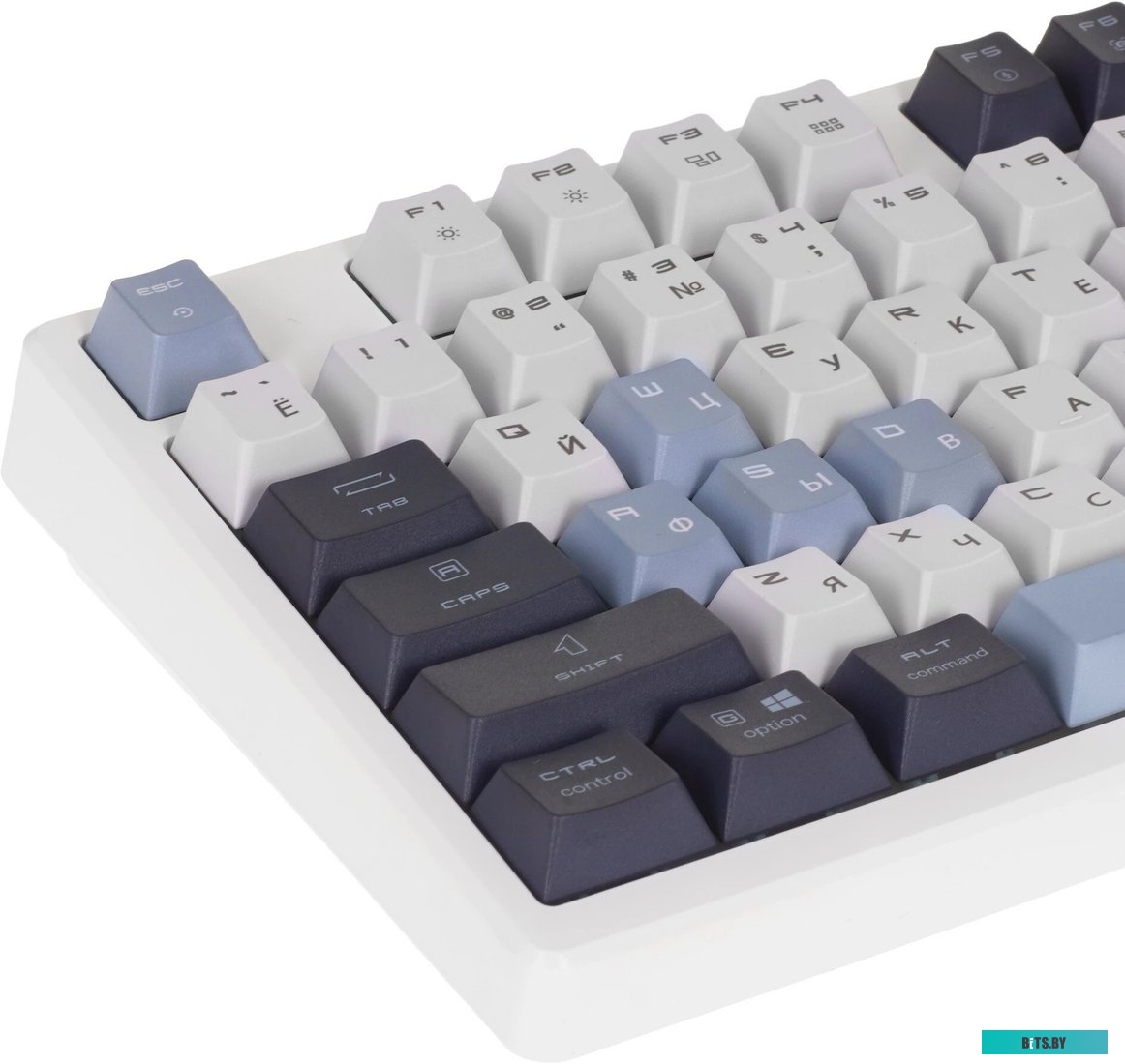 Клавиатура беспроводная Keyboard MSI FORGE GK600 TKL, Wireless, Mechanical Linear Switches, RGB LED, 4000mA/h, Sky (S11-43RUP01-HH9) S11-43RUP01-HH9