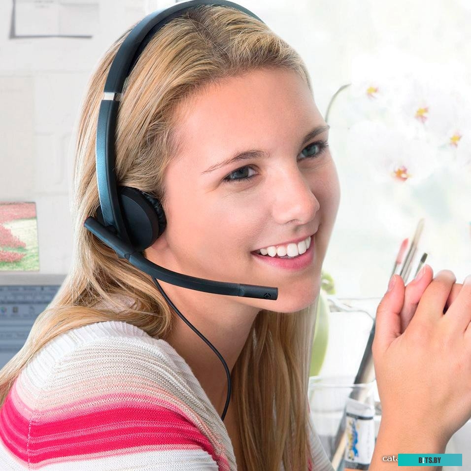 Наушники (Гарнитура) Logitech USB Headset Stereo H570e <981-000575>
