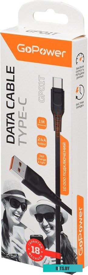 Кабель GoPower GP01T 00-00018566