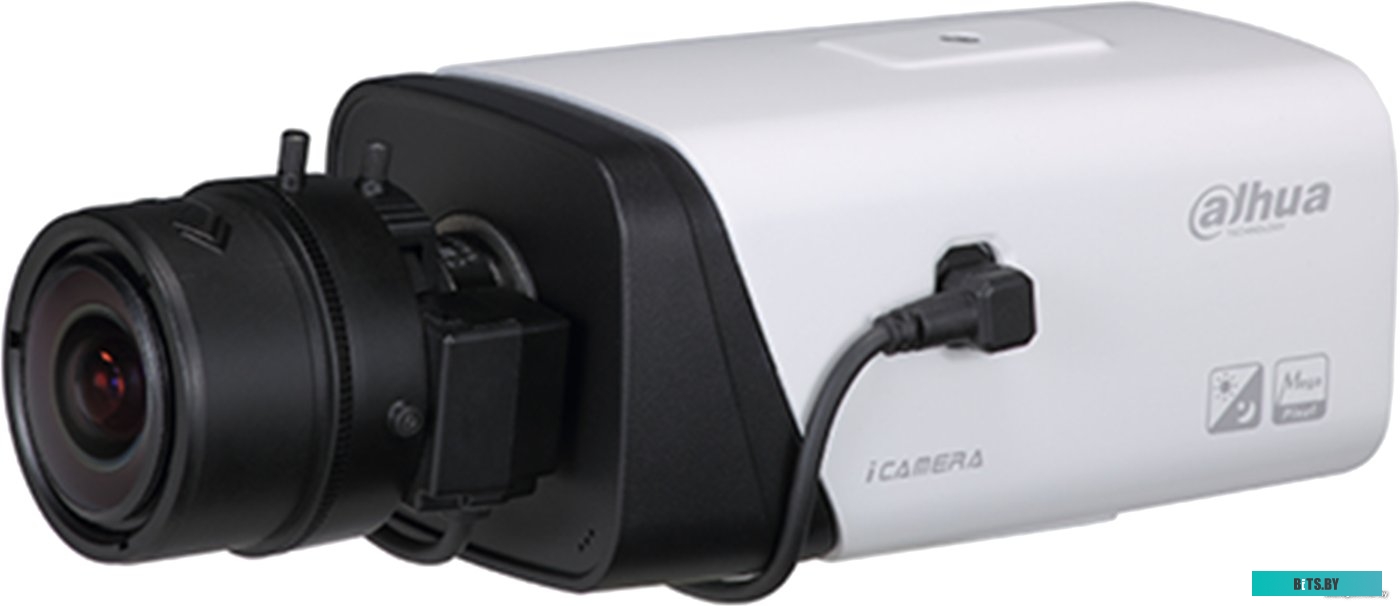 IP-камера Dahua DH-IPC-HF5442EP-E
