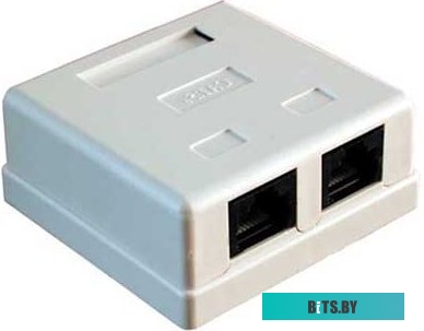 Розетка компьютерная REXANT 2хRJ-45 cat.5e 03-0151