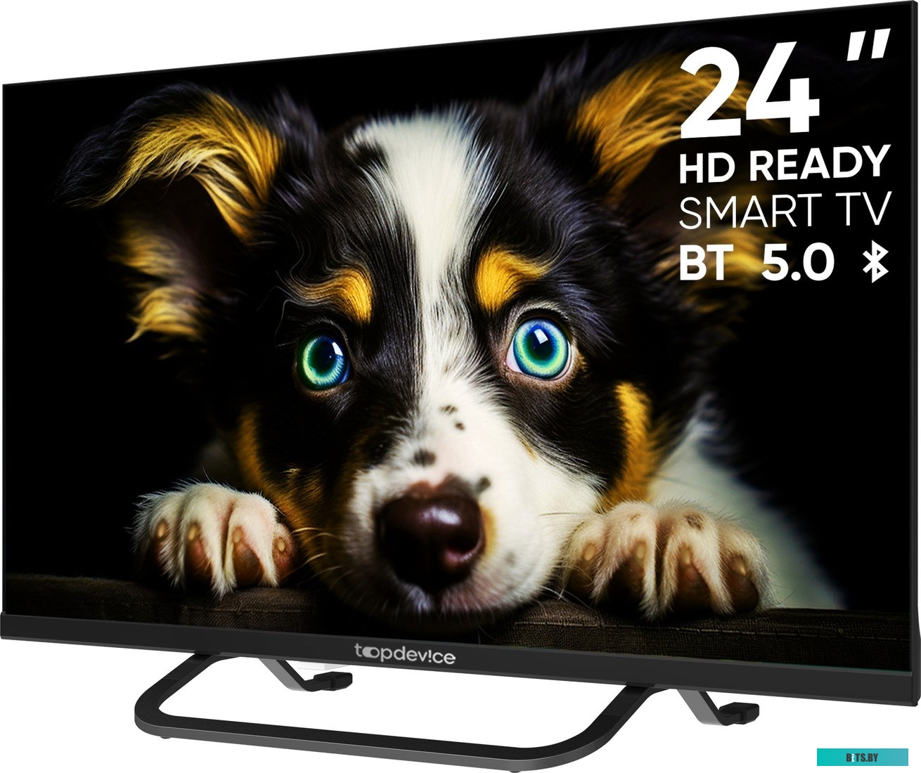 TDTV24CS04HBK Телевизор Topdevice TDTV24CS04HBK