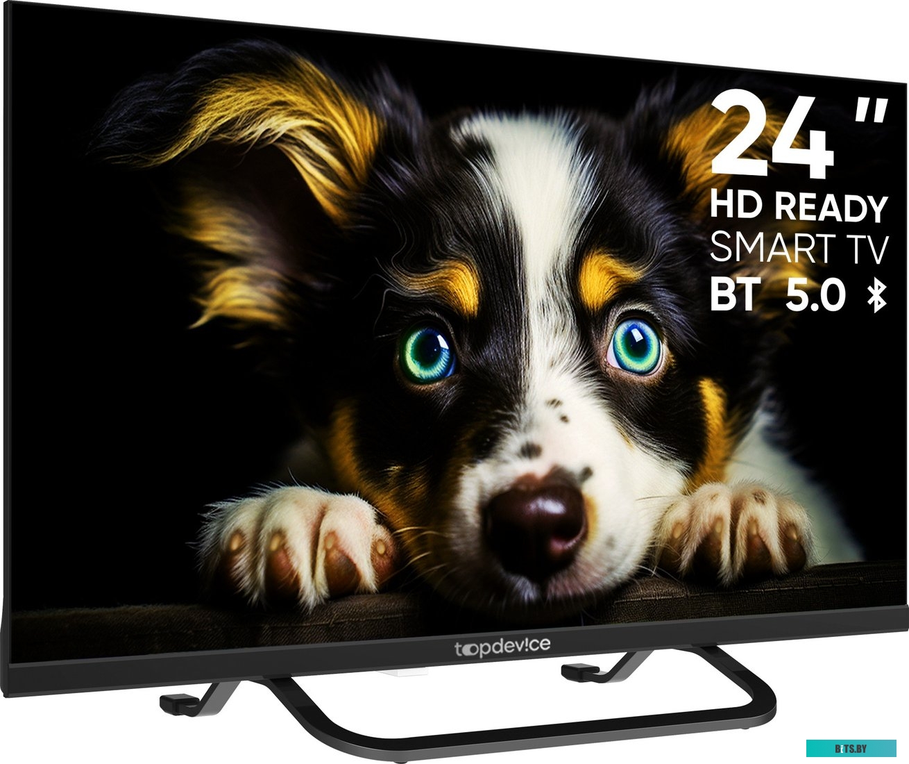 TDTV24CS04HBK Телевизор Topdevice TDTV24CS04HBK