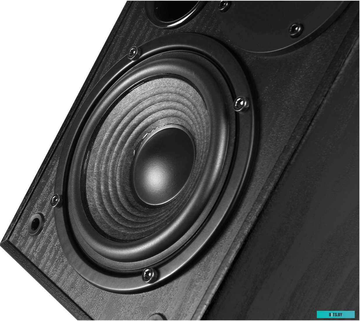 Компьютерные колонки Edifier R1100