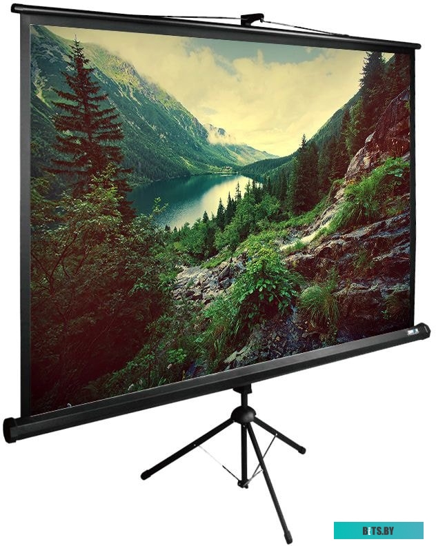 Экран для проекторов Cactus TriExpert 220x220 CS-PSTE-220X220-BK