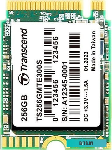 Твердотельный накопитель Transcend 300S 256GB TS256GMTE300S