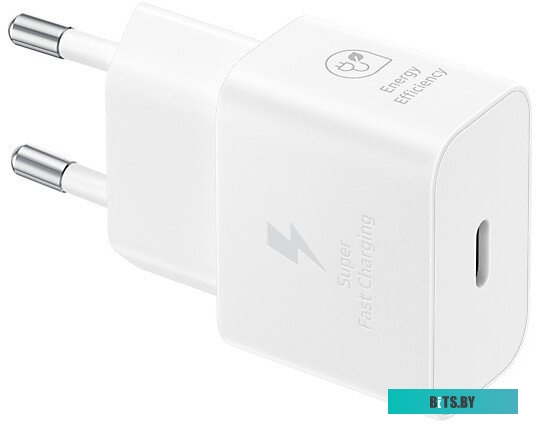 Сетевое зарядное устройство Samsung EP-T2510 EP-T2510NWEGWW