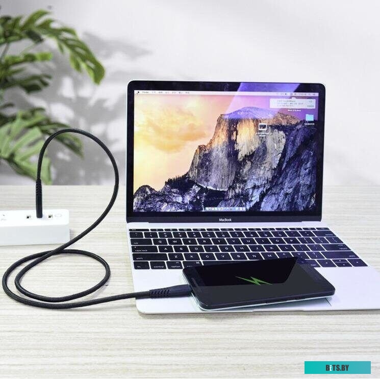 Кабель-адаптер Telecom TC403M-2M