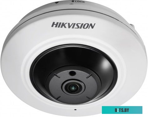 IP-камера Hikvision DS-2CD2955FWD-I