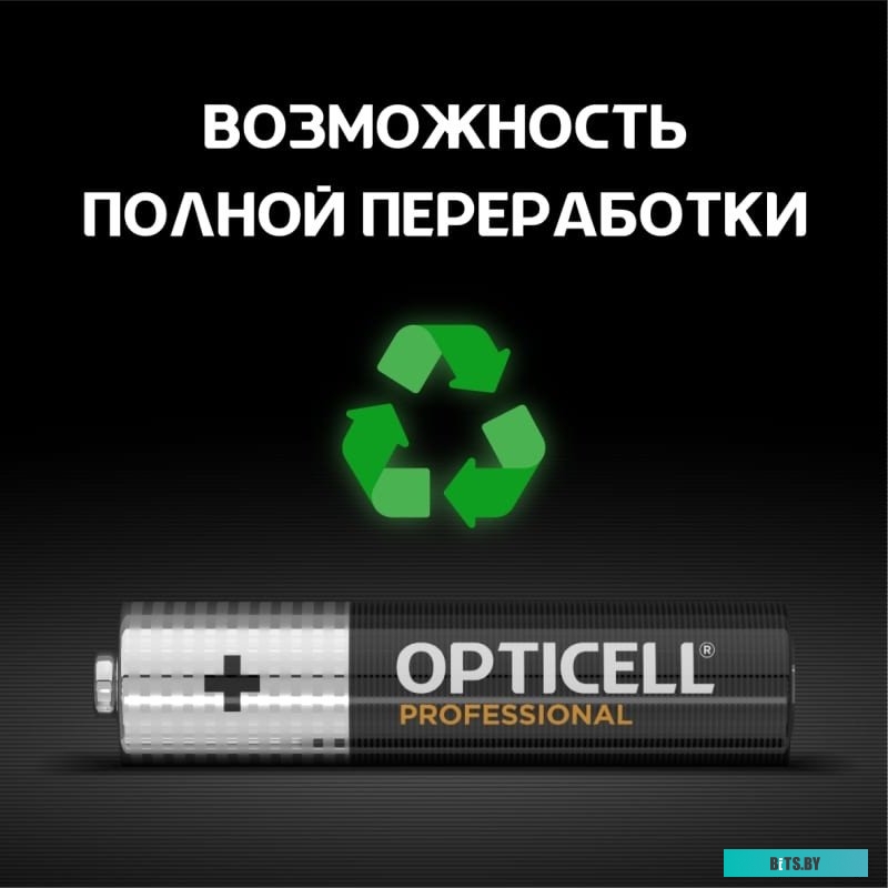 Элемент питания алкалиновый Opticell Professional AAA 5052006