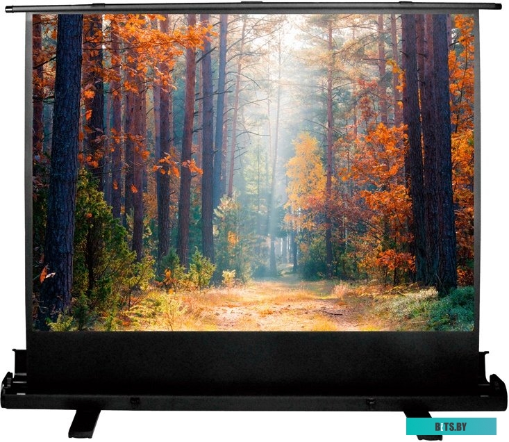 Экран для проекторов Cactus FloorExpert 120x160 CS-PSFLE-160X120